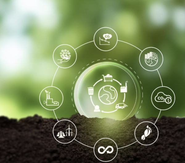 MWCC destaca cinco recursos clave del Pacto Mundial para impulsar la sostenibilidad empresarial