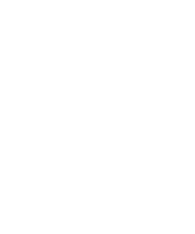 Global Company